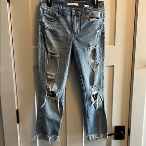 Eunina Distressed Blue Jeans